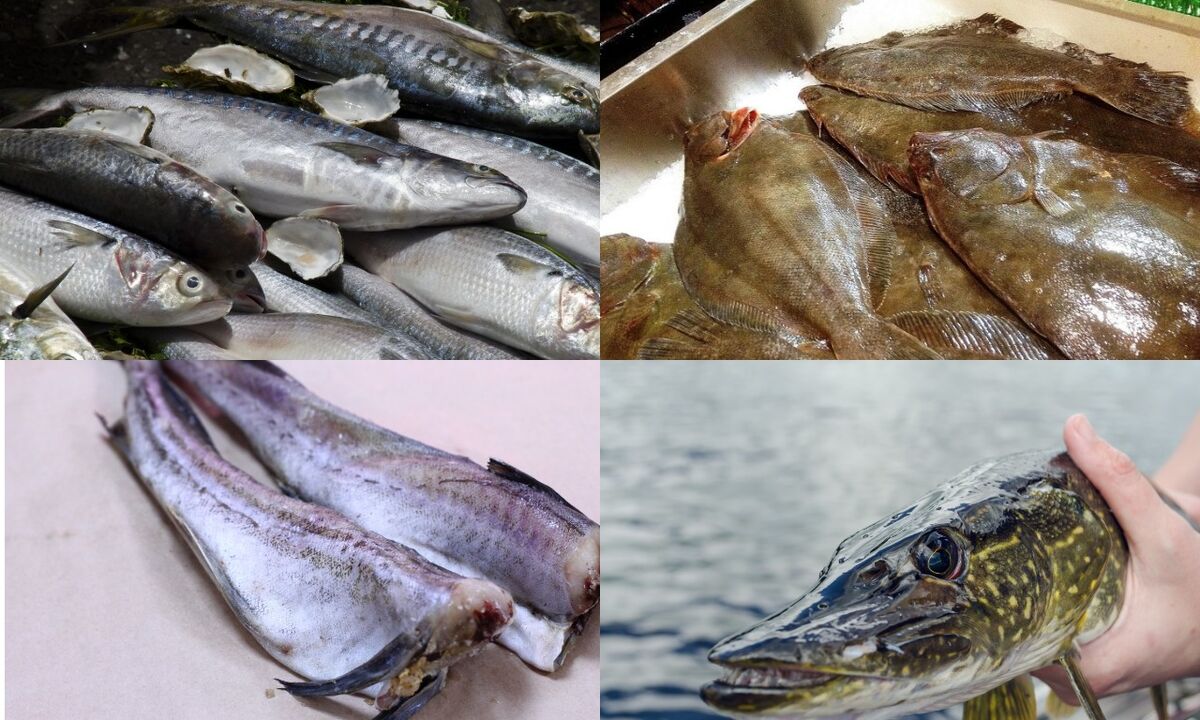 peixe
